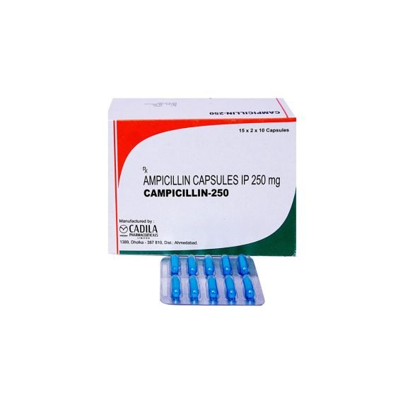 Ampicillin Campicillin contract manufacturing bulk exporter supplier wholesaler